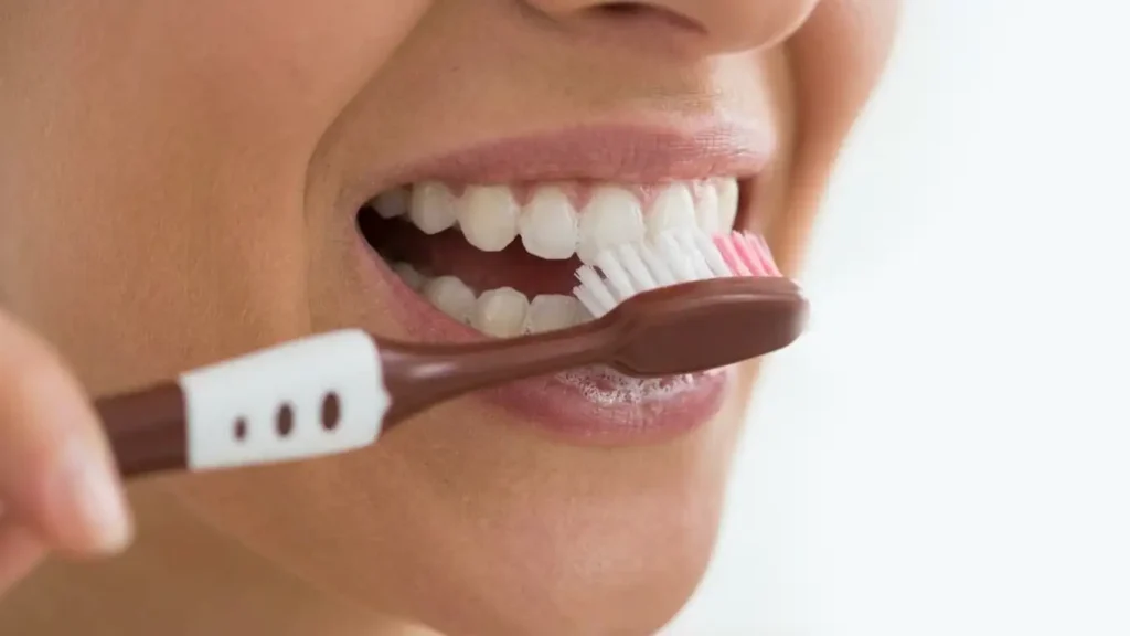 Adult toothbrush jar manufacturer in Delhi